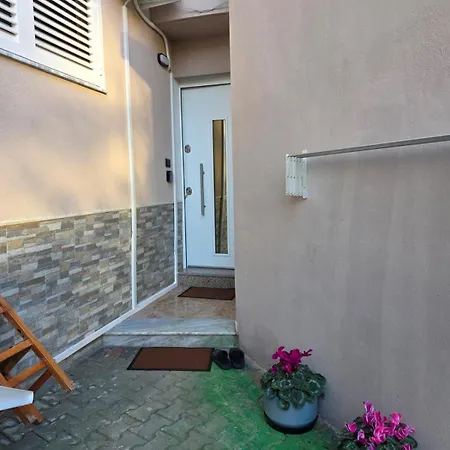 Apartament Oasis *