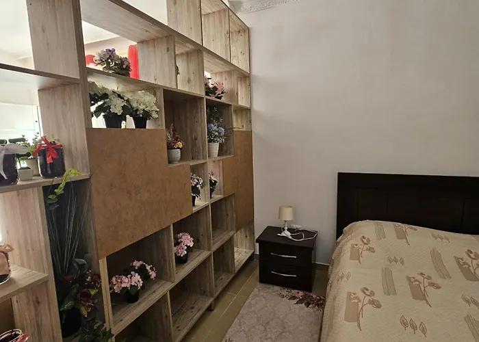 Oasis Apartament *
