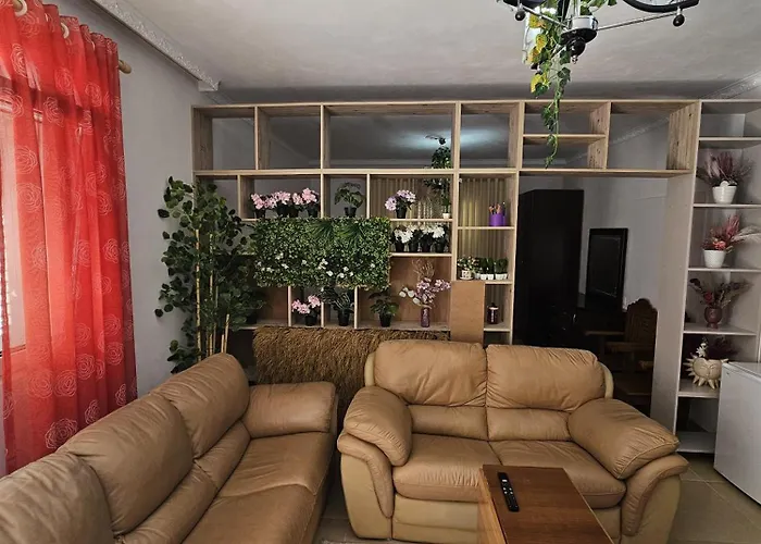 Apartament Oasis