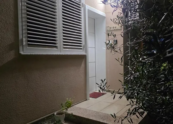 Oasis