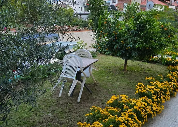 Oasis Tirana