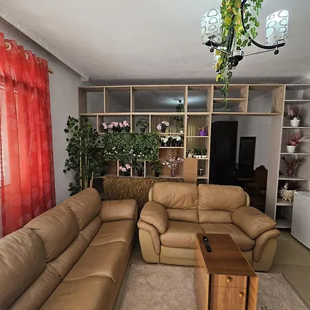 Apartment Oasis