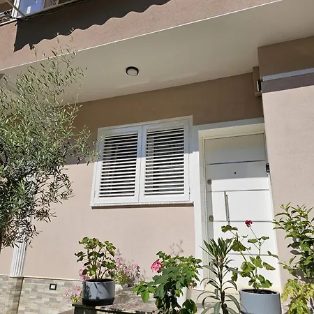 Oasis Tirana