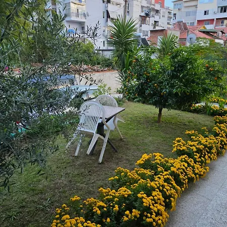 Oasis Tirana
